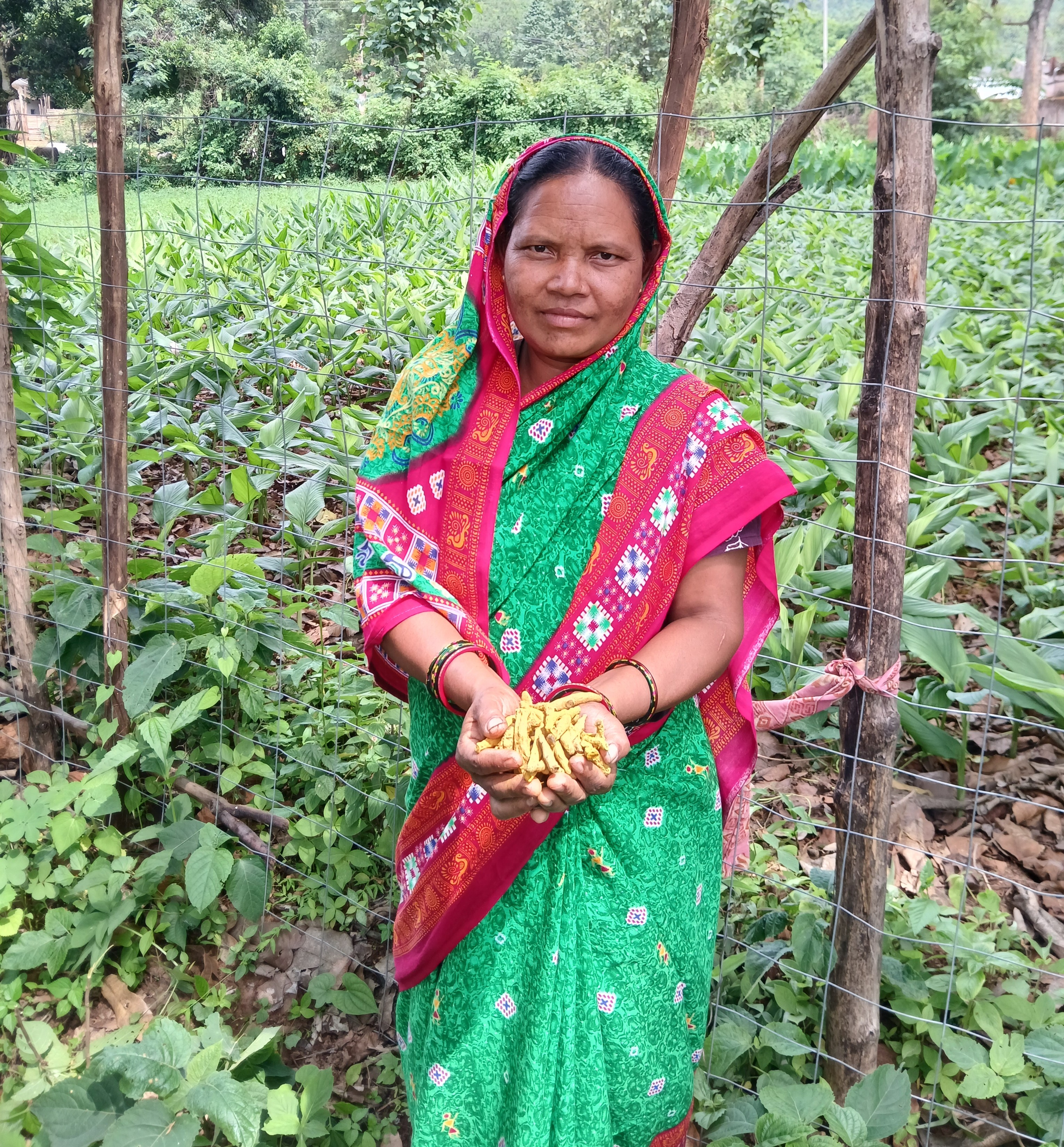 Tribal turmeric farmer from Kandhamal, Odisha